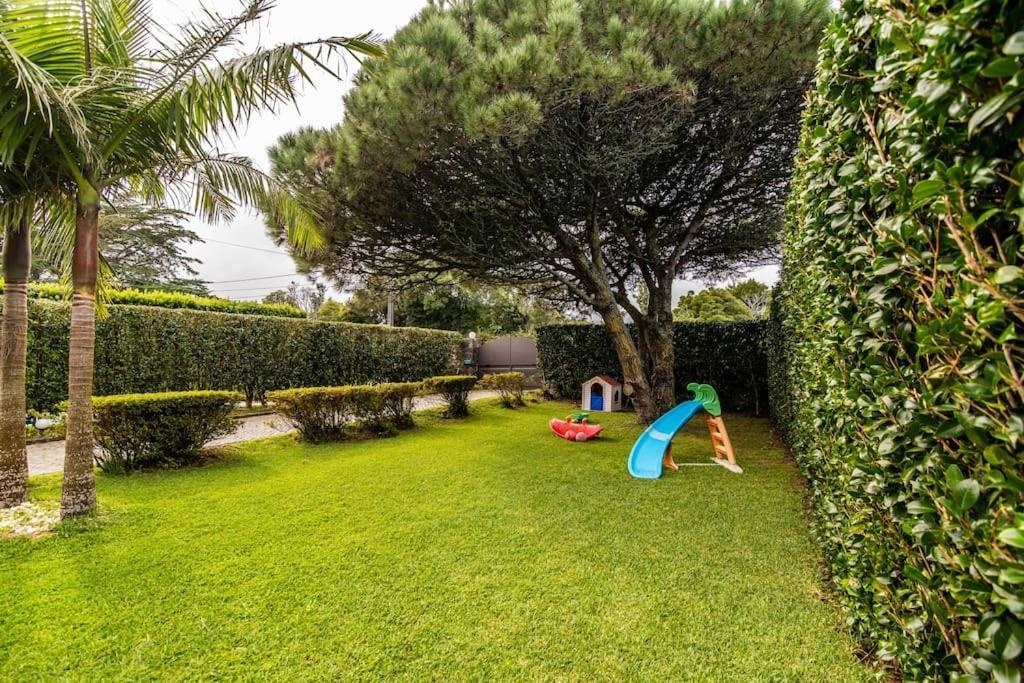 Apartamento Do Pinheiro São Vicente Ferreira Εξωτερικό φωτογραφία